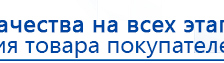 СКЭНАР-1-НТ (исполнение 01)  купить в Дубне, Аппараты Скэнар купить в Дубне, Дэнас официальный сайт denasolm.ru