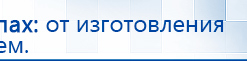 СКЭНАР-1-НТ (исполнение 02.1) Скэнар Про Плюс купить в Дубне, Аппараты Скэнар купить в Дубне, Дэнас официальный сайт denasolm.ru